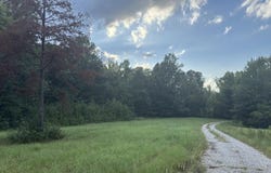 82 CR 102, PITTSBORO, MS 38951