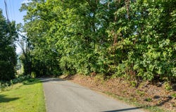 3951 Strong Rd, Mascot, TN 37806