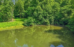 JORDAN HOLLOW RD, STANLEY, VA 22851