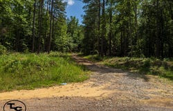 Wolf Pen Rd, Pocahontas, TN 38061