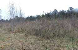 OFF HWY 378, Waldron, AR 72958