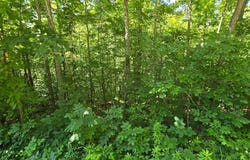 2082 Roberts Bend Road, Burnside, KY 42519