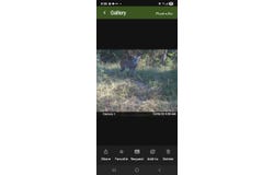 S80 Helt Rd, Antlers, OK 74525
