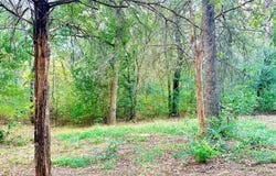 136 Bent Tree Circle, Eustace, TX 75124