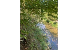 Polk Road 67, Mena, AR 71953