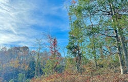 9108 KY-501, Liberty, KY 42539