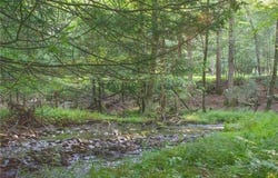 590 Cranberry Creek Road, CRESCO, PA 18326