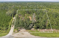 3621 E Capps Highway, Lamont, FL 32336