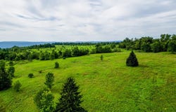 1399 Steuben Hill Rd, Herkimer, NY 13350