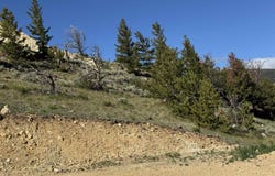 Water Gulch Court lot: 125B, Dubois, WY 82513