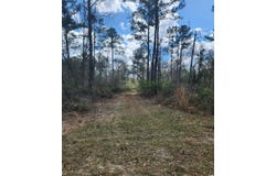 47 River Trails, Naylor, GA 31641