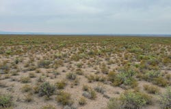 Presidio, TX 79845