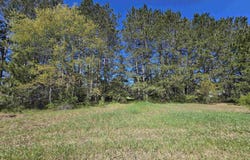 N 3 Road, Mesick, MI 49668