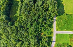 9311 Medlin Rd, Baxter, TN 38544
