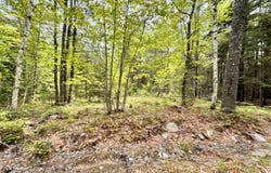 18-B Back Pasture Lane, Blue Hill, ME 04614