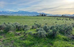 Lot B Jensen Rd, McCammon, ID 83250