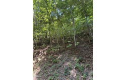 Progress Hill Boulevard, Pigeon Forge, TN 37863