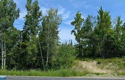 Hwy. 22, Cook, MN 55703