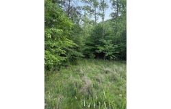 Puckett Road, Westfield, NC 27053