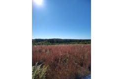 21 Fredonia Road, Dunlap, TN 37327