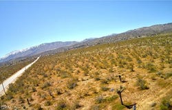106 Street E, Pearblossom, CA 93543