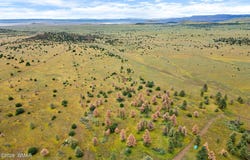County Rd N1334, Greer, AZ 85927
