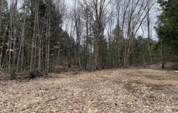 2137 N Hulbert Rd, Hulbert, MI 49768