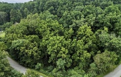 Riverbluff Road, Fairlawn, VA 24141