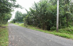 AMAU RD, Keaau, HI 96749