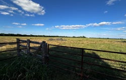 23 +/- Acres County Rd 4815, Leonard, TX 75452