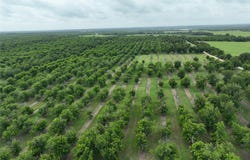 CR 424, Comanche, TX 76442