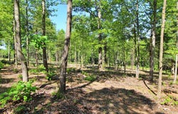 Tower Hill Rd, Appomattox, VA 24522