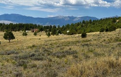 1054 Keepsake Loop, Westcliffe, CO 81252
