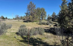 Whitepine St, Hornbrook, CA 96044