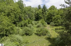 1999 Ryan Road, Caro, MI 48723
