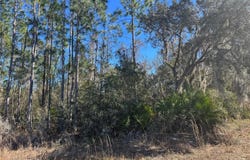 GRACE Avenue, DELAND, FL 32720