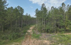 769 Ms-43, Oak Vale, MS 39656