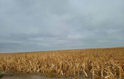 N Road, Smith Center, KS 66967