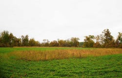 Lt2 County Road AS, Waldo, WI 53093