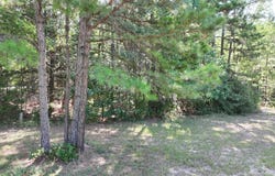 W Hwy 154, Big Sandy, TX 75755