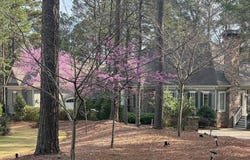 1091 BROOKSIDE, Greensboro, GA 30642
