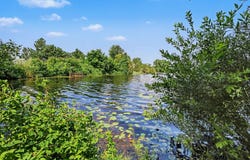 E Shore Drive lot: 78/79, Stanton, MI 48888