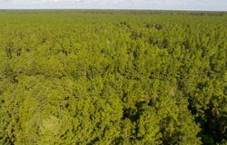 1 Highway 165, Kinder, LA 70648