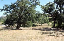 34221 Robinson Canyon RD, CARMEL, CA 93923