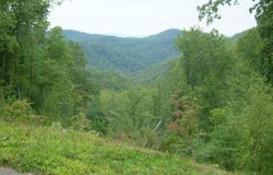 Garnet Rd lot: 18, Sylva, NC 28779