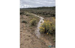 Lindrith, NM 87029