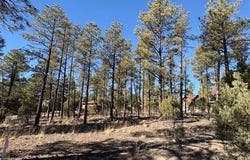 3071 W Black Oak Loop, Show Low, AZ 85901