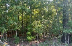 Mulberry Road, Barnwell, SC 29812