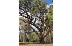 10 Nelson Rd, Poplarville, MS 39470