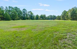 Scrub Pine Road, Big Sandy, TX 75755
